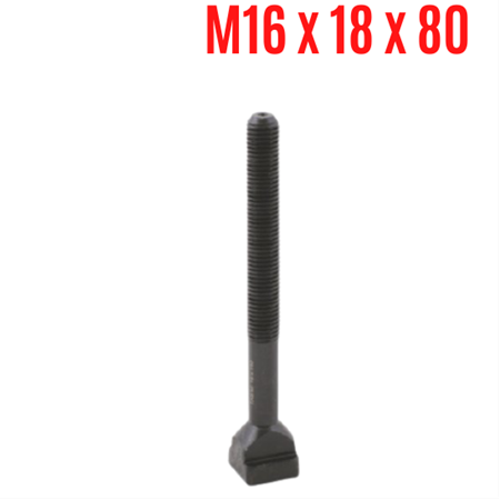 M16 x 18 x 80 mm  T AYAKLI SAPLAMA